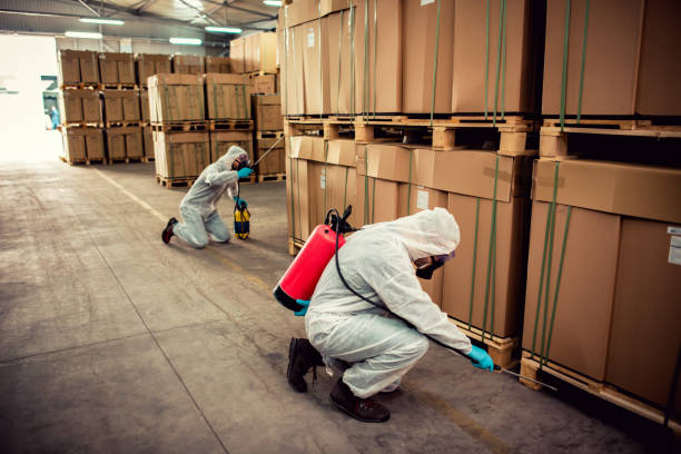 Best Exterminator Services  in Preston, IA