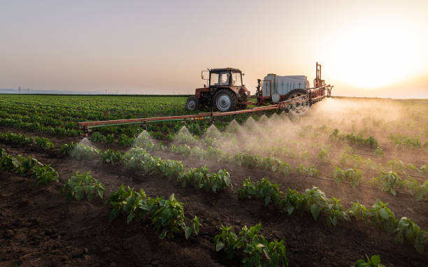Best Pest Inspection Near Me  in Preston, IA