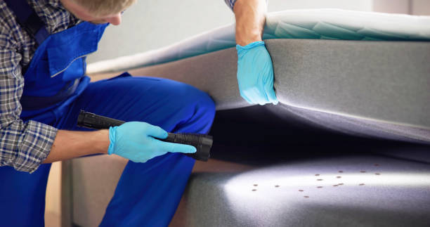 Best Best Pest Control Companies  in Preston, IA